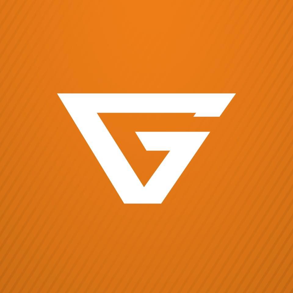 Ginetta Logo