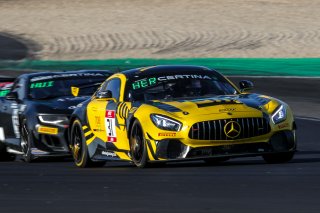 #31 SRT Mercedes AMG GT4 Bob Herber | Photo SRO/Co van der Gragt | SRO Motorsports Group