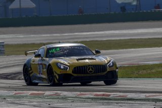 #31 SRT Mercedes AMG GT4 Bob Herber |  Photo SRO/Chris Schotanus