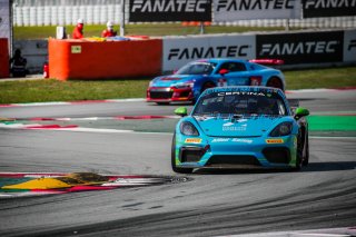 #26 Allied Racing DEU Porsche 718 Cayman GT4 CS MR Alexander Hartvig DNK Joel Camathias CHE Pro-Am, GT4, Qualifying
 | SRO / TWENTY-ONE CREATION - Jules Benichou