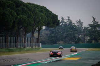 Paid Test Session
 | SRO / Dirk Bogaerts Photography