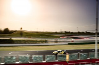 #14 Sainteloc Racing Audi R8 LMS GT4 Roee Meyuhas Erwan Bastard Silver Cup, Free Practice 2
 | SRO / Kevin Pecks