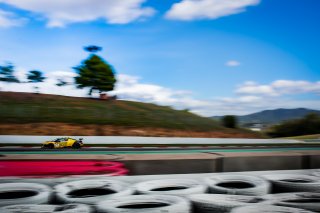 #14 Sainteloc Racing - Roee Meyuhas - Erwan Bastard - Audi R8 LMS GT4 - Silver Cup, GT4, Paid Test Session
 | SRO / TWENTY-ONE CREATION - Jules Benichou