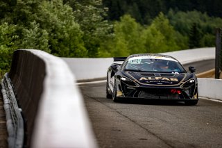#288 - Alfab Racing - Alfab Racing - Daniel ROOS - Erik BEHRENS - McLaren Artura GT4 - Pro-Am, Free Practice 1
 | © SRO / Kevin Pecks 1VIER