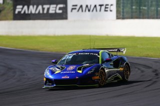 #96 - Mahiki Racing - Max BIRD - Dexter PATTERSON - Lotus Emira GT4
 | SRO / JEP