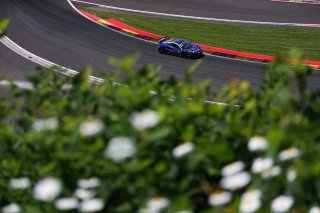 #96 - Mahiki Racing - Max BIRD - Dexter PATTERSON - Lotus Emira GT4
 | SRO/JEP