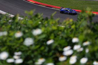 #96 - Mahiki Racing - Max BIRD - Dexter PATTERSON - Lotus Emira GT4
 | SRO/JEP