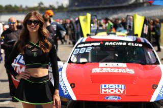 Monster Energy Grid Girl
 | SRO/JEP