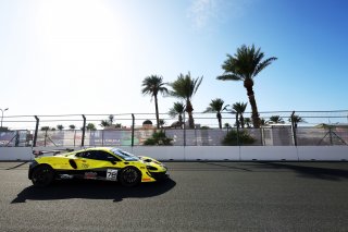 #77 - Elite Motorsport with Entire Race Engineering - Thomas EMSON - McLaren Artura GT4
 | SRO / JEP