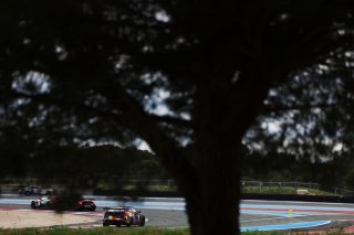 #310 - Willi Motorsport - Sergiu NICOLAE - Tudor TUDURACHI - BMW M4 GT4 G82 EVO
 | SRO / JEP