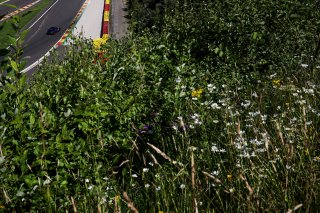 #98 - Schubert Motorsport - Victor BOUVENG - Joakim WALDE - BMW M4 GT4 G82 EVO
 | SRO / JEP