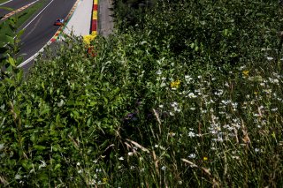 GT4 European Series Spa-Francorchamps
 | SRO / JEP
