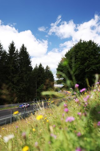 #61 - Academy Motorsport - Erik EVANS - Marco SIGNORETTI - Ford Mustang GT4 2024
 | SRO / JEP