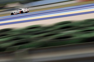 #19 - Lema Racing x Mapetrol - Elias NISKANEN - Mark KASTELIC - Mercedes-AMG GT4
 | SRO / JEP
