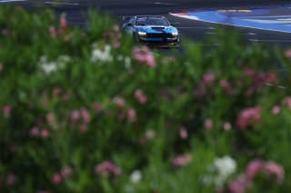 #1 - TeamFloral - Nathan VANSPRINGEL - Michiel HAVERANS - Ford Mustang GT4 2024
 | SRO / JEP