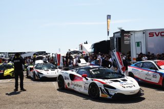 #812 - Rafa Racing by Race Lab - Callum DAVIES - Charlie HART - McLaren Artura GT4
 | SRO / JEP