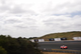 #48 - W&D Racing Team - Davide MELONI - Paolo MELONI - BMW M4 GT4 G82 EVO
 | SRO / JEP