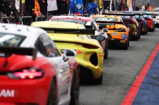 GT4 European Series Pitlane
 | SRO / JEP