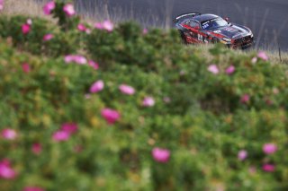 #15 - NM Racing Team - Lluc IBANEZ - Alexandre PAPADOPULOS -Mercedes-AMG GT4
 | SRO / JEP