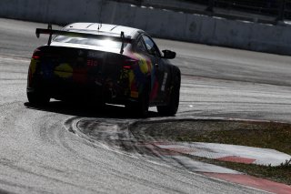 #310 - Willi Motorsport - Sergiu NICOLAE - Tudor TUDURACHI - BMW M4 GT4 G82 EVO
 | SRO / JEP