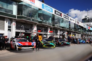 #61 - Academy Motorsport - Erik EVANS - Marco SIGNORETTI - Ford Mustang GT4 2024
 | SRO / JEP