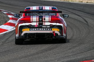 #96 - Continental Racing by Simpson Motorsport - Vasily VLADYKIN - Mikhail LOBODA - BMW M4 GT4 G82 EVO
 | SRO / JEP