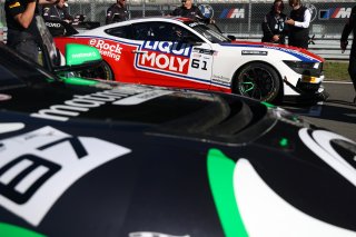 #61 - Academy Motorsport - Erik EVANS - Marco SIGNORETTI - Ford Mustang GT4 2024
 | SRO / JEP