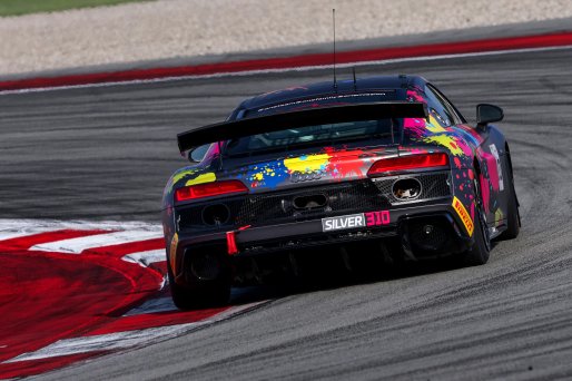 #310 - Willi Motorsport - Sergiu NICOLAE - Tudor TUDURACHI - BMW M4 GT4 G82 EVO
 | SRO / JEP