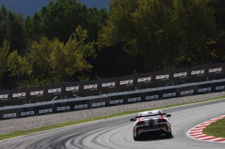 #96 - Continental Racing by Simpson Motorsport - Vasily VLADYKIN - Mikhail LOBODA - BMW M4 GT4 G82 EVO
 | SRO / JEP