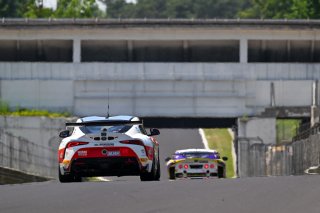 #29 - Gazoo Racing Sweden - Henry JOSLYN - Maximilian BOSTR&Ouml;M - Toyota GR Supra GT4 EVO 2 | SRO / JEP