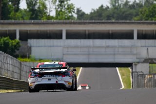 #31 - W&S Motorsport - Alon GABBAY - Tim HORRELL - Porsche 718 Cayman GT4 RS CS | SRO / JEP