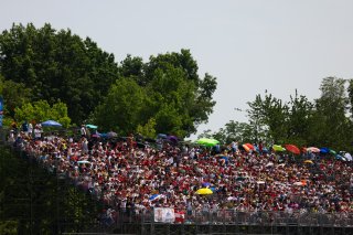 Fans | SRO /JEP