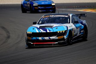 #68 - TeamFloral - Sam PALEY - Michiel HAVERANS - Ford Mustang GT4 | SRO / JEP