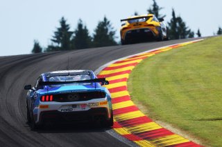 #68 - TeamFloral - Sam PALEY - Michiel HAVERANS - Ford Mustang GT4 | SRO / JEP