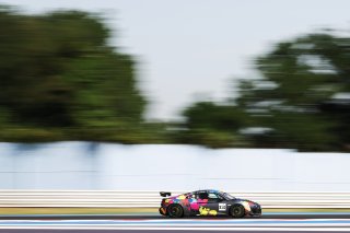 #310 - Willi Motorsport - Tudor TUDURACHI - Sergiu NICOLAE - Audi R8 LMS GT4 | SRO / JEP