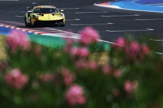 #56 - Lotus PB Racing - Massimiliano SCHIAVONE - Maurizio COPETTI - Lotus Emira GT4 | SRO / JEP