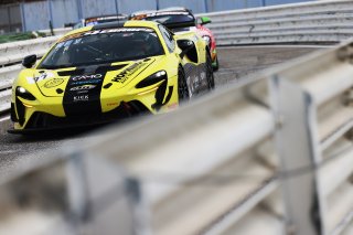#77 - Elite Motorsport with Entire Race Engineering - Yani STEVENHEYDENS - Harri REYNOLDS - McLaren Artura GT4 | SRO / JEP