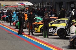 #77 - Elite Motorsport with Entire Race Engineering - Yani Stevenheydens - Harri Reynolds - McLaren Artura GT4
 | SRO / JEP