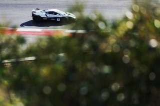 #71 - Elite Motorsport with Entire Race Engineering - Charlie Robertson - Ravi Ramyead - McLaren Artura GT4 | SRO / JEP