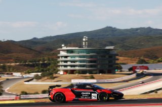 #75 - Race Lab - George King - Colin Cronin - McLaren Artura GT4 | SRO / JEP