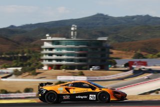 #78 - Elite Motorsport with Entire Race Engineering - Charlie Hart - McKenzy Cresswell - McLaren Artura GT4 | SRO / JEP