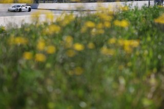 #71 - Elite Motorsport - Charlie ROBERTSON/Ravi RAMYEAD - McLaren Artura GT4 | SRO / JEP