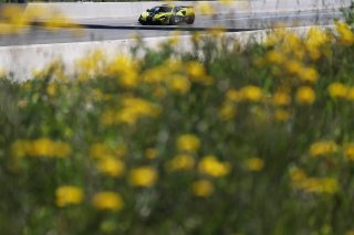 #77 - Elite Motorsport - Yani STEVENHEYDENS/Harri REYNOLDS - McLaren Artura GT4 | SRO / JEP