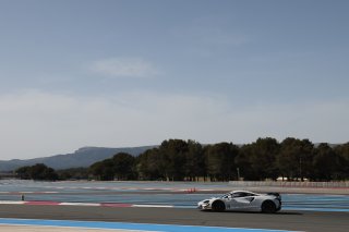 #71 - Elite Motorsport - Charlie ROBERTSON/Ravi RAMYEAD - McLaren Artura GT4
 | SRO / JEP
